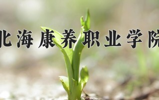 2024年北海康养职业学院录取分数线，河北最低303分