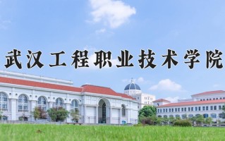 2025年武汉工程职业技术学院在河南计划招生人数（附学费及专业录取分)