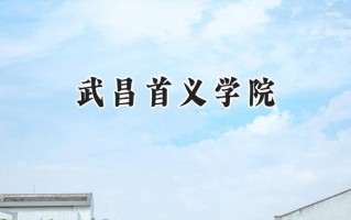 武昌首义学院2024在浙江录取分数线是多少？最低269分/最高593分