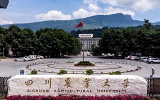 2025年四川农业大学学科排名（全国第四轮评估结果）