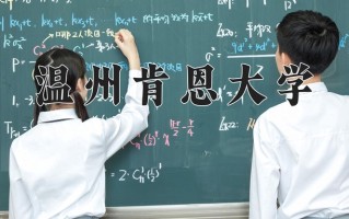 2025年温州肯恩大学在四川计划招生人数（附学费及专业录取分)