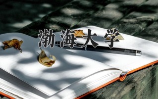2025年渤海大学在新疆计划招生人数（附学费及专业录取分)