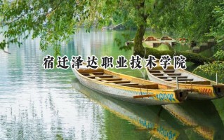 2024宿迁泽达职业技术学院录取分数线：江苏最低221分