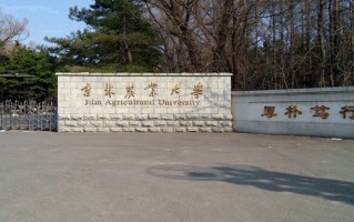 2024年吉林农业大学录取分数线，河北最低503分