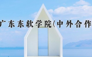 2025年广东东软学院(中外合作)在重庆计划招生人数（附学费及专业录取分)