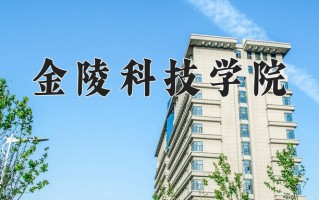 2025年金陵科技学院在河南计划招生人数（附学费及专业录取分)