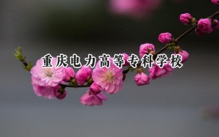 重庆电力高等专科学校2024在青海录取分数线是多少？最低317分/最高389分