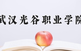 2025年武汉光谷职业学院在河南计划招生人数（附学费及专业录取分)