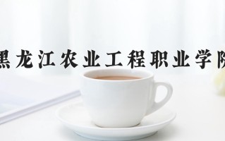 2025年黑龙江农业工程职业学院在四川计划招生人数（附学费及专业录取分)