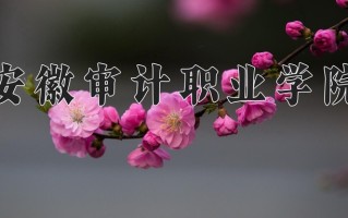 2025年安徽审计职业学院在河南计划招生人数（附学费及专业录取分)