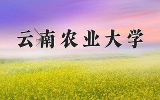 2025年云南农业大学在河南计划招生人数（附学费及专业录取分)