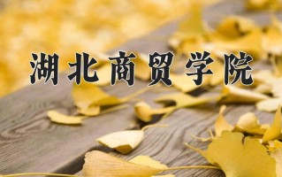 2025年湖北商贸学院在河南计划招生人数（附学费及专业录取分)