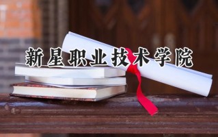 新星职业技术学院2024在山东录取分数线是多少？最低278分/最高312分