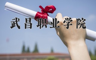 2025年武昌职业学院在四川计划招生人数（附学费及专业录取分)