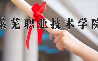 2025年莱芜职业技术学院在新疆计划招生人数（附学费及专业录取分)