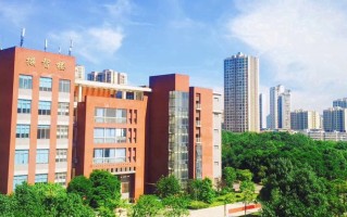 2024年重庆电讯职业学院录取分数线，河北最低265分