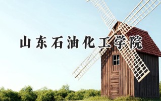 2024山东石油化工学院录取分数线：天津最低515分