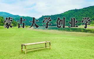 2025年内蒙古大学创业学院在新疆计划招生人数（附学费及专业录取分)