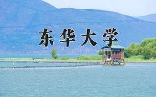 2025年东华大学在新疆计划招生人数（附学费及专业录取分)
