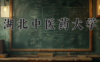 2025年湖北中医药大学在四川计划招生人数（附学费及专业录取分)