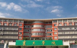 2024年上海震旦职业学院录取分数线，河北最低250分
