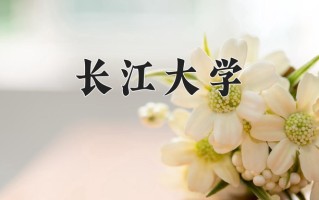 2025年长江大学在河南计划招生人数（附学费及专业录取分)