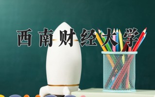2025年西南财经大学在新疆计划招生人数（附学费及专业录取分)