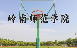 2025年岭南师范学院在河南计划招生人数（附学费及专业录取分)