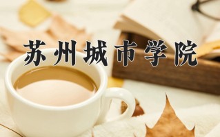 2025年苏州城市学院在四川计划招生人数（附学费及专业录取分)