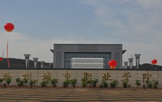 2024年滁州城市职业学院录取分数线，河北最低342分