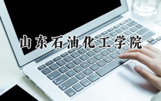 2024山东石油化工学院录取分数线：河南最低501分
