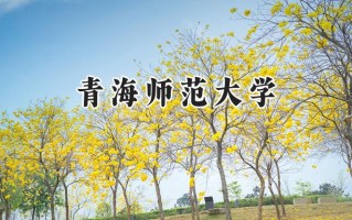 2024青海师范大学录取分数线：陕西最低453分