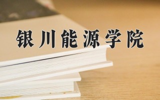 银川能源学院王牌专业有哪些？附2025最新王牌专业排名一览表
