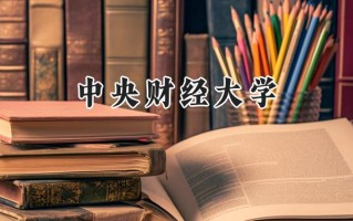 中央财经大学2024在内蒙古录取分数线是多少？最低507分/最高635分