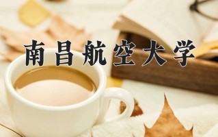 2025年南昌航空大学在河南计划招生人数（附学费及专业录取分)
