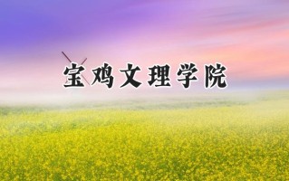 宝鸡文理学院2024在江苏录取分数线是多少？最低495分/最高515分