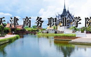 2025年天津商务职业学院在河南计划招生人数（附学费及专业录取分)