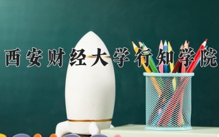 2025年西安财经大学行知学院在新疆计划招生人数（附学费及专业录取分)