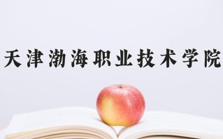 2025年天津渤海职业技术学院在四川计划招生人数（附学费及专业录取分)