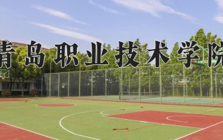 2025年青岛职业技术学院在河南计划招生人数（附学费及专业录取分)