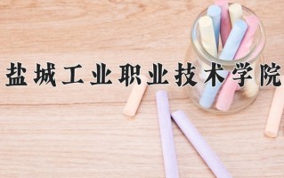 2025年盐城工业职业技术学院在四川计划招生人数（附学费及专业录取分)