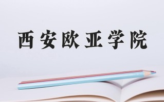 2025年西安欧亚学院在新疆计划招生人数（附学费及专业录取分)