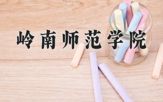 2025年岭南师范学院在四川计划招生人数（附学费及专业录取分)