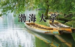 2025年渤海大学在四川计划招生人数（附学费及专业录取分)