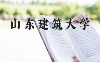 2025年山东建筑大学在河南计划招生人数（附学费及专业录取分)