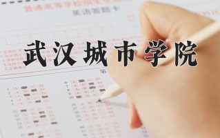 2024年武汉城市学院录取分数线，青海最低331分