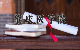 2025年肇庆医学院在河南计划招生人数（附学费及专业录取分)
