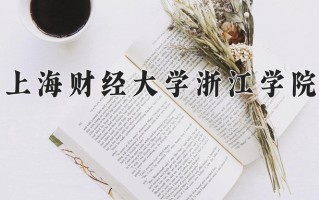 2025年上海财经大学浙江学院在四川计划招生人数（附学费及专业录取分)