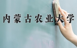 2025年内蒙古农业大学在新疆计划招生人数（附学费及专业录取分)