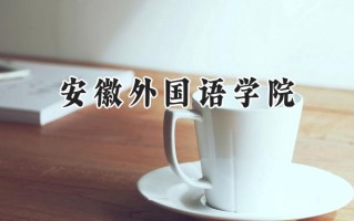 2024安徽外国语学院录取分数线：江苏最低478分
